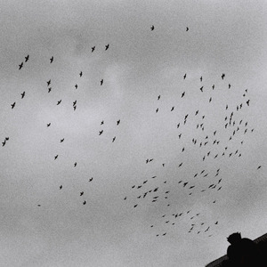 成人黄色软件下载
