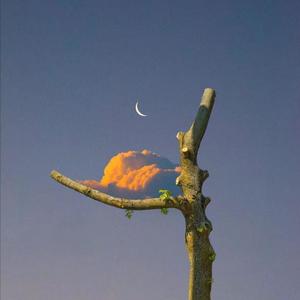 成人黄色软件下载
